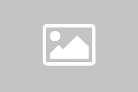 Queijo Canastra Tradicional